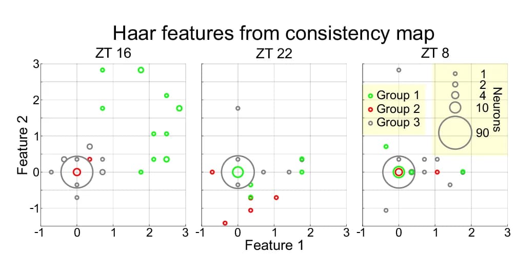 Open access visualization of Scatter Plot, Bubble Plot, Haar Feature Analysis, Neurons, ZT