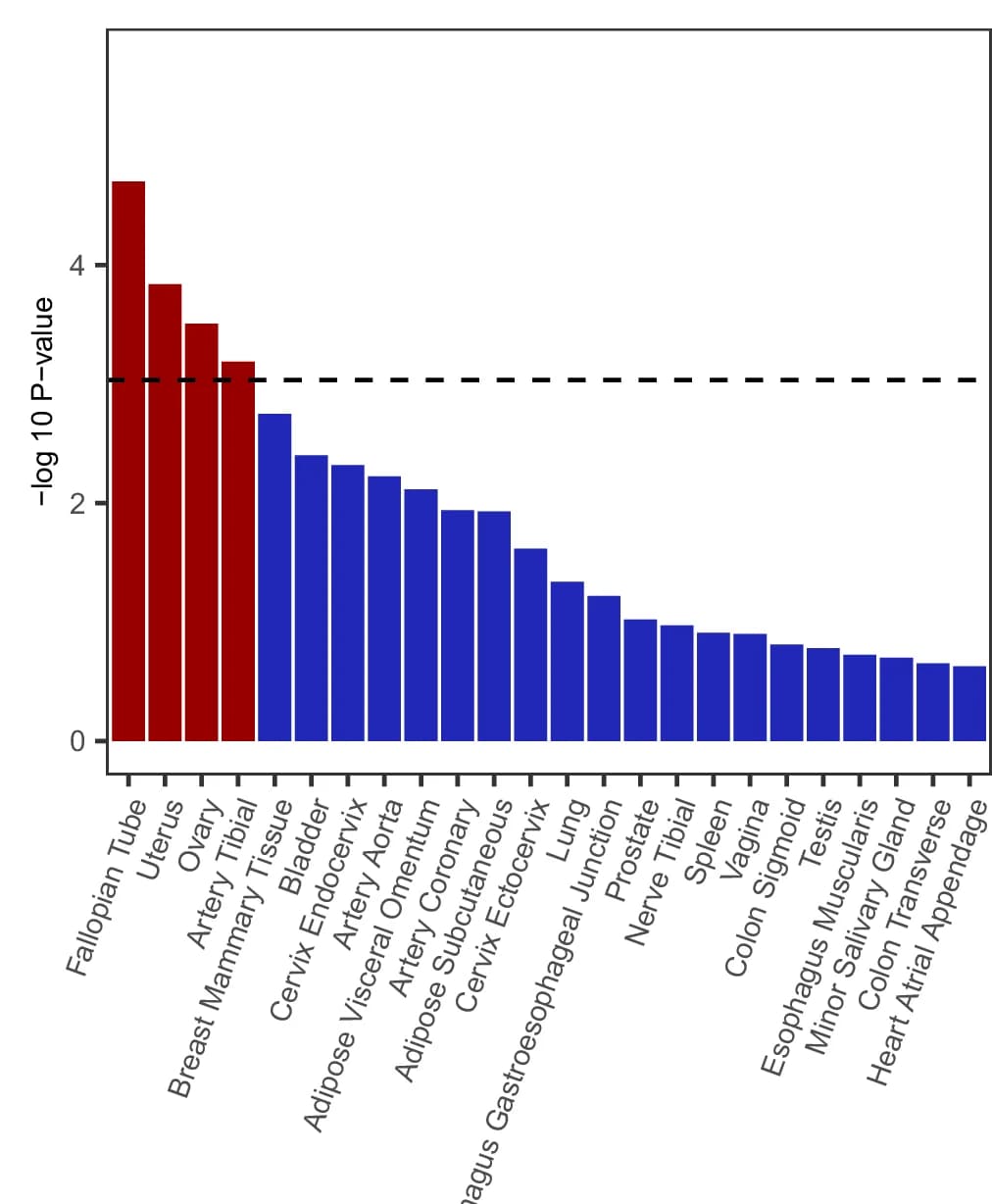 Open access visualization of Bar Plot, WGWAS, Gene Sets, P-value, Bonferroni Correction