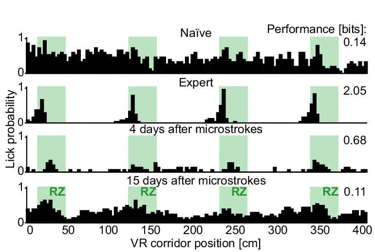 Open access visualization of Histogram, Histograms, Licking Profile, Water Reward, Virtual Reality
