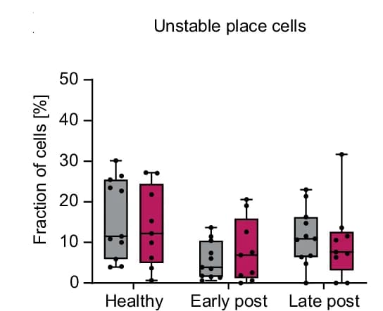 Open access visualization of Box Plot, Scatter Plot, Place Cells, Noncoding Cells, ANOVA