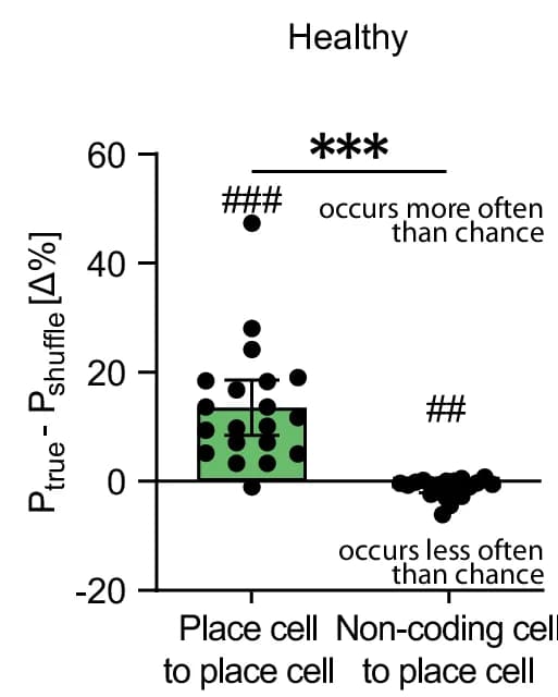 Open access visualization of Bar Plot, Error Bars, Scatter Plot, Place Cells, Non-Coding Cells