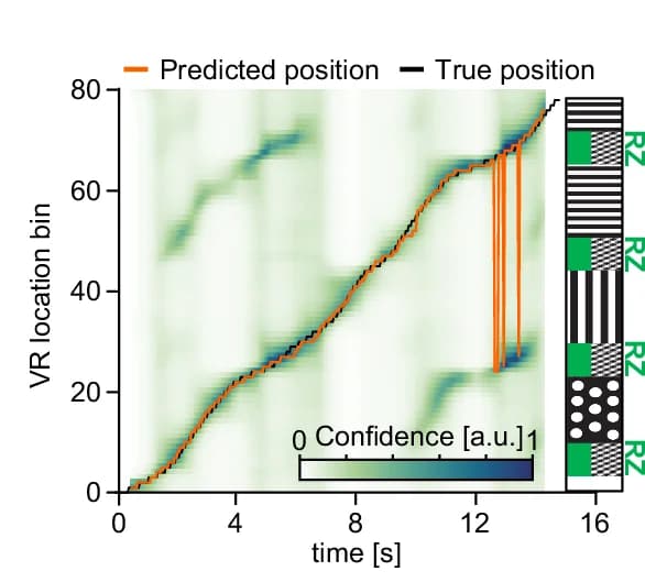 Open access visualization of Line Plot, Heatmap, Corridor Positions, Bayesian Decoder, Neural Traces