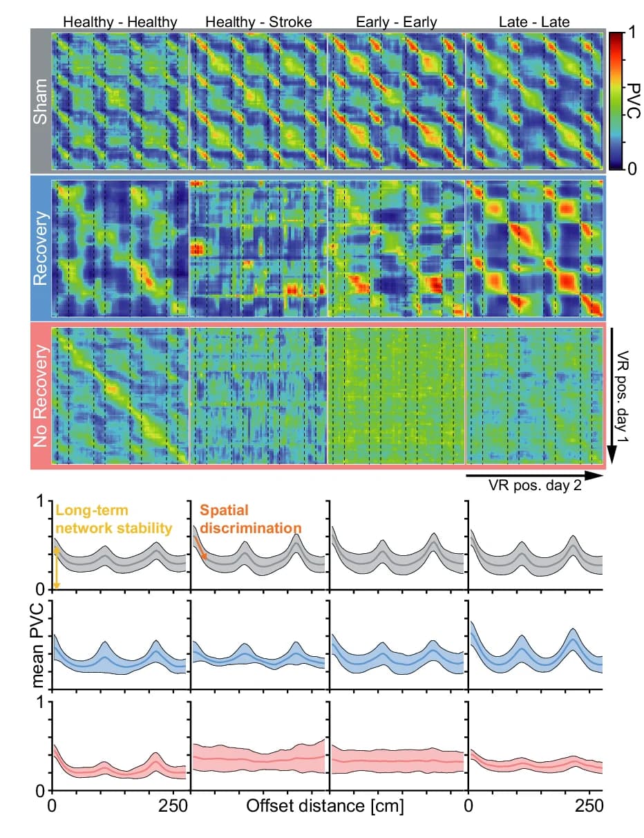 Open access visualization of Heatmap, Line Plot, Error Bars, Population Vector Correlation, Matrices