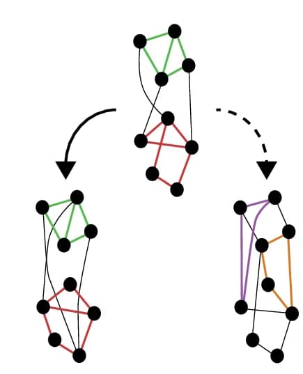 Open access visualization of Network, Pathway, Functional Network Structure, Spatial Activity, Stroke