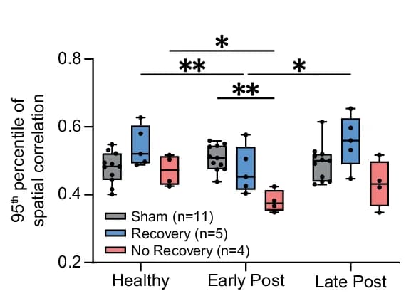 Open access visualization of Box Plot, Scatter Plot, Correlation Coefficients, Spatial Activity Maps, Neurons