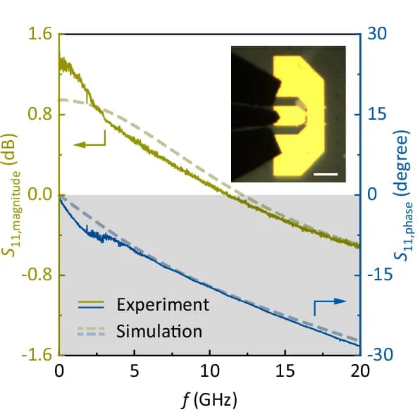 Open access visualization of Line Plot, Photo, Magnitude, Phase, Frequency