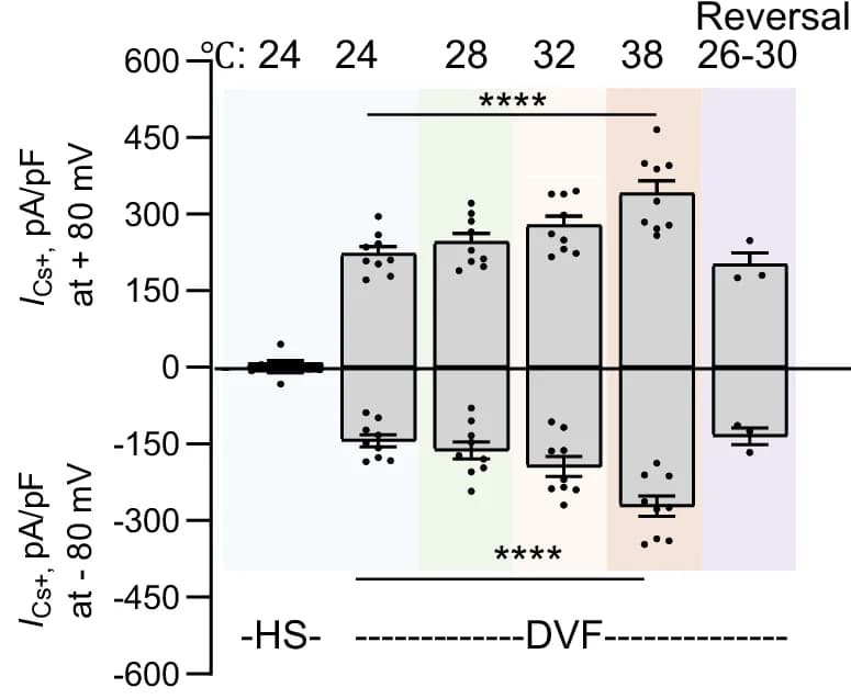Open access visualization of Bar Plot, Error Bars, Scatter Plot, Sperm, Current Densities