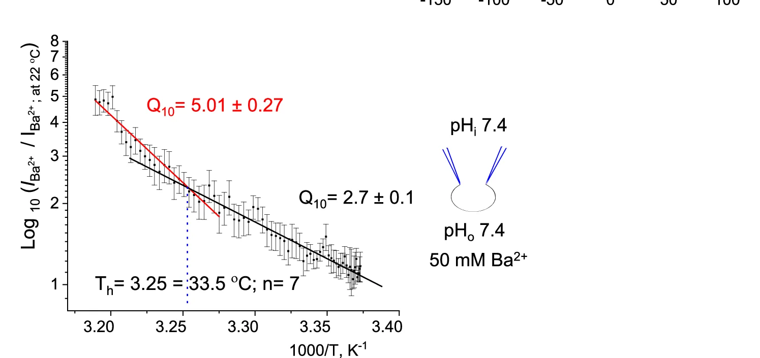 Open access visualization of Line Plot, Error Bars, Current-Temperature Relationship, I Ba 2+, Temperature Ramps