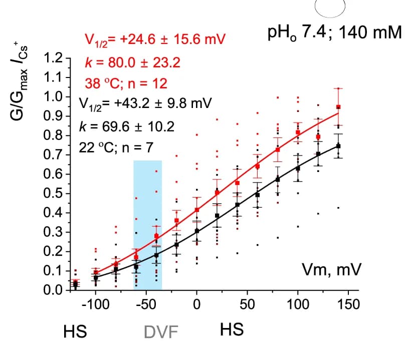 Open access visualization of Line Plot, Error Bars, Scatter Plot, G-V Curves, Tail Current Amplitudes