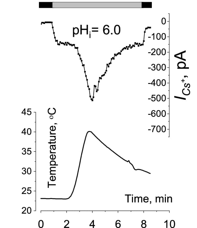 Open access visualization of Line Plot, Heat Response, Wild-Type Sperm, Intracellular pH, Reversible