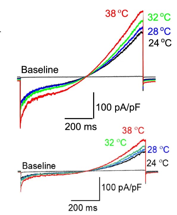 Open access visualization of Line Plot, Temperature, Heat Response, Variability