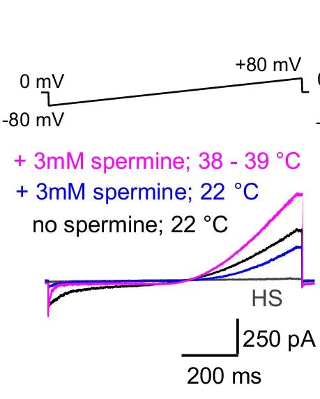 Open access visualization of Line Plot, Spermatozoa, Spermine, Temperature