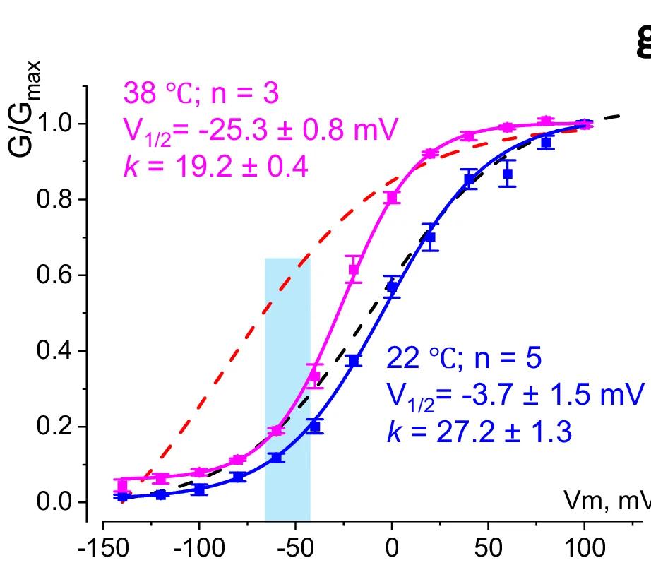 Open access visualization of Line Plot, Error Bars, G-V Curves, Tail Currents, Spermine
