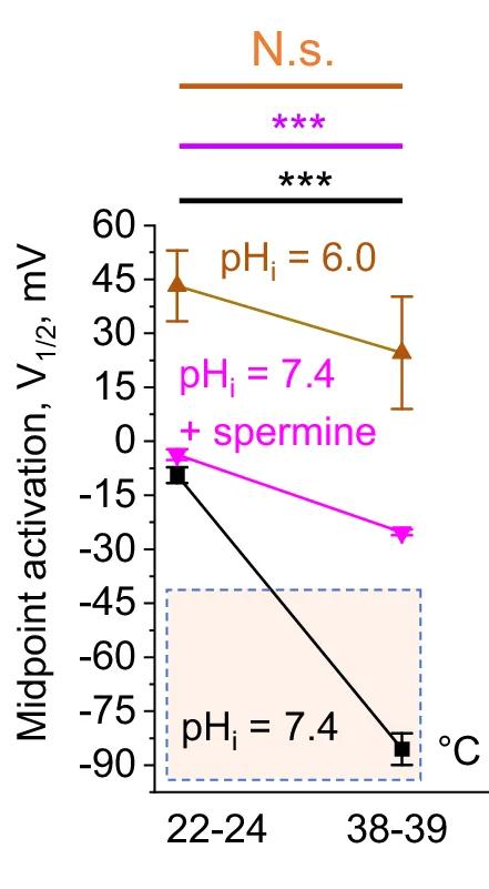 Open access visualization of Line Plot, Error Bars, Spermine, Acidic pH, Midpoint Activation