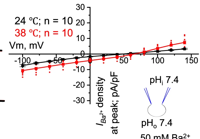 Open access visualization of Line Plot, Error Bars, I-V Curves, Barium Current, Cesium Current