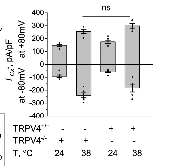 Open access visualization of Bar Plot, Error Bars, I Cs + Densities, Voltage Ramp Recordings, Temperature Activation