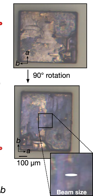Open access visualization of Microscopy, Photo, Sample Surfaces, Polarized Microscope, Twin Domains