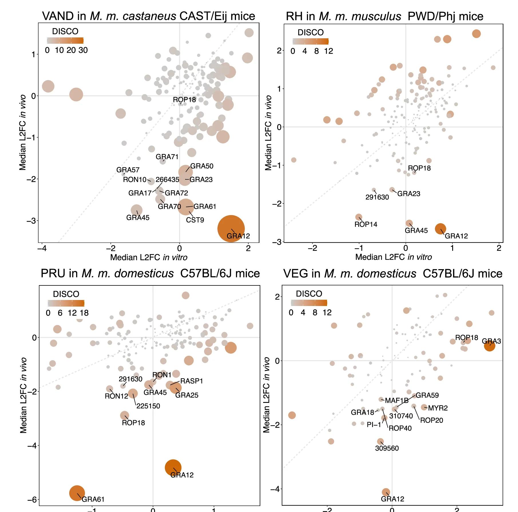 Open access visualization of Bubble Plot, Scatter Plot, Scatter Plots, CRISPR Screen, L2FC