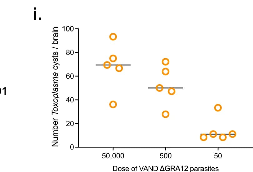 Open access visualization of Scatter Plot, Brain Cysts, PWD/PhJ Mice, VAND GRA12 Parasites, Immunofluorescence