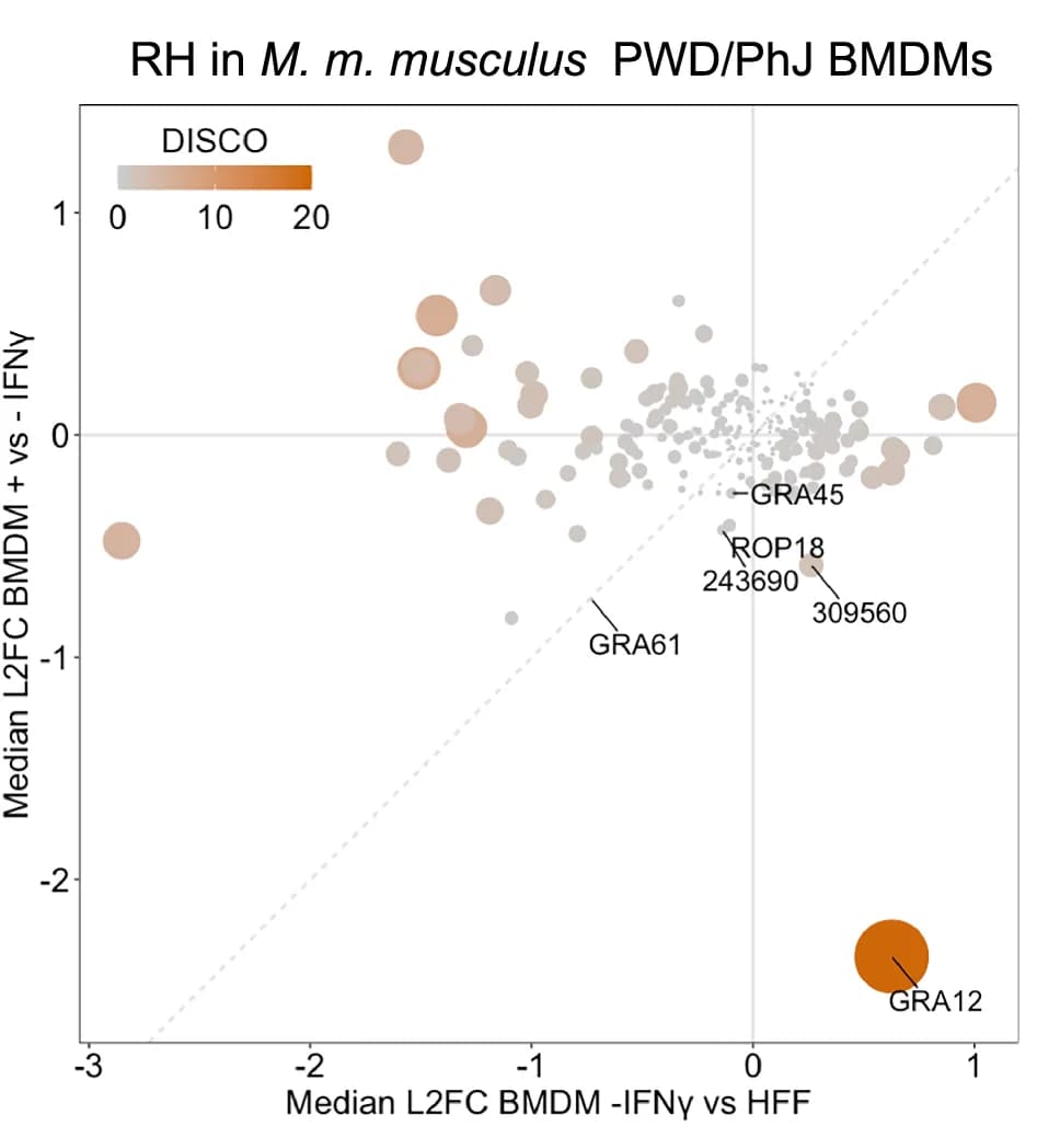 Open access visualization of Scatter Plot, Bubble Plot, Scatter Plots, L2FC, CRISPR Screens