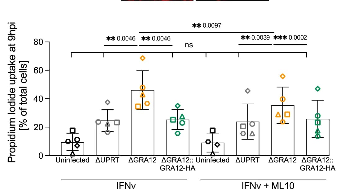 Open access visualization of Bar Plot, Error Bars, Scatter Plot, Cell Death, ML10