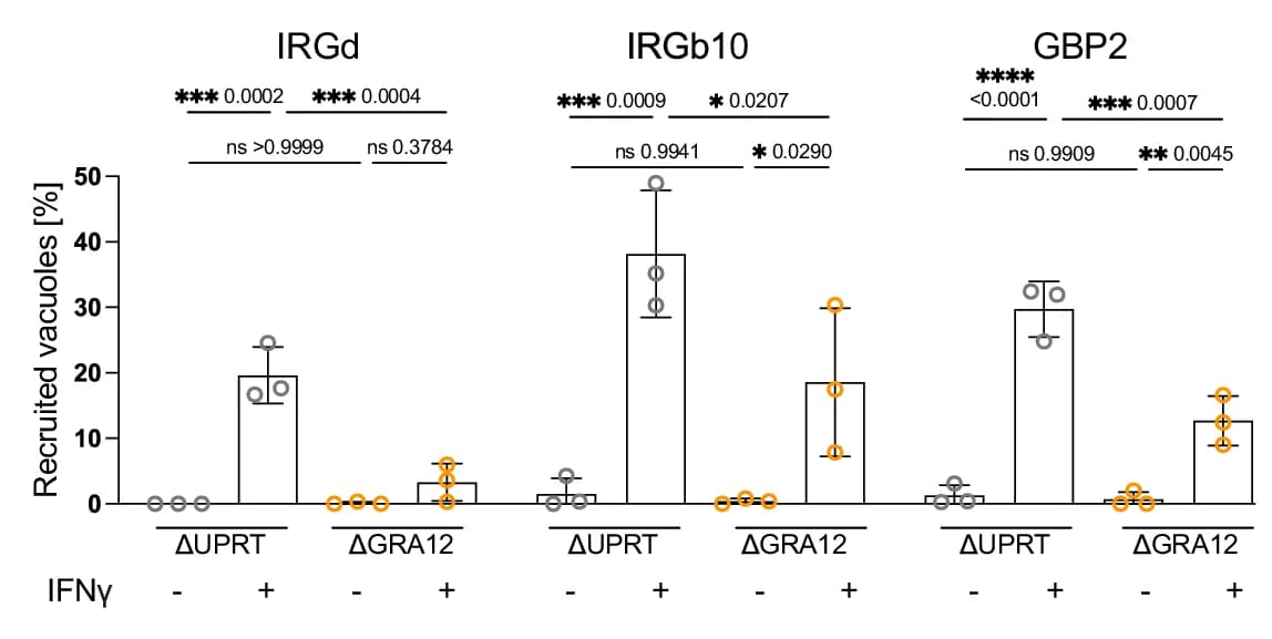 Open access visualization of Bar Plot, Error Bars, Scatter Plot, Host Proteins, IRGd