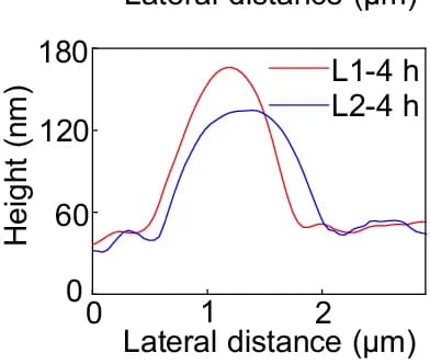 Open access visualization of Line Plot, AFM, In-Situ Test, Cantilever, Oven