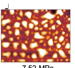 Open access visualization of Microscopy, AFM Images, PP Cantilever, Compressive Surface