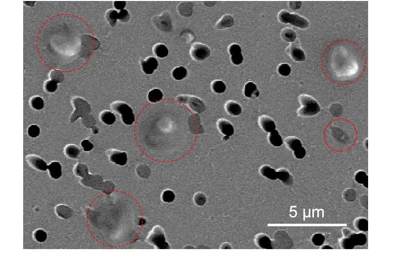 Open access visualization of Microscopy, SEM, PP APMPs, Membrane Filter