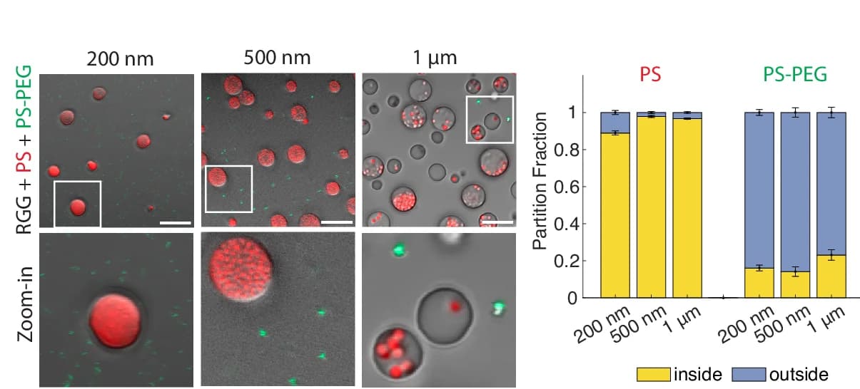 Open access visualization of Stacked Bar Plot, Microscopy, RGG, PS Beads, PS-PEG Beads