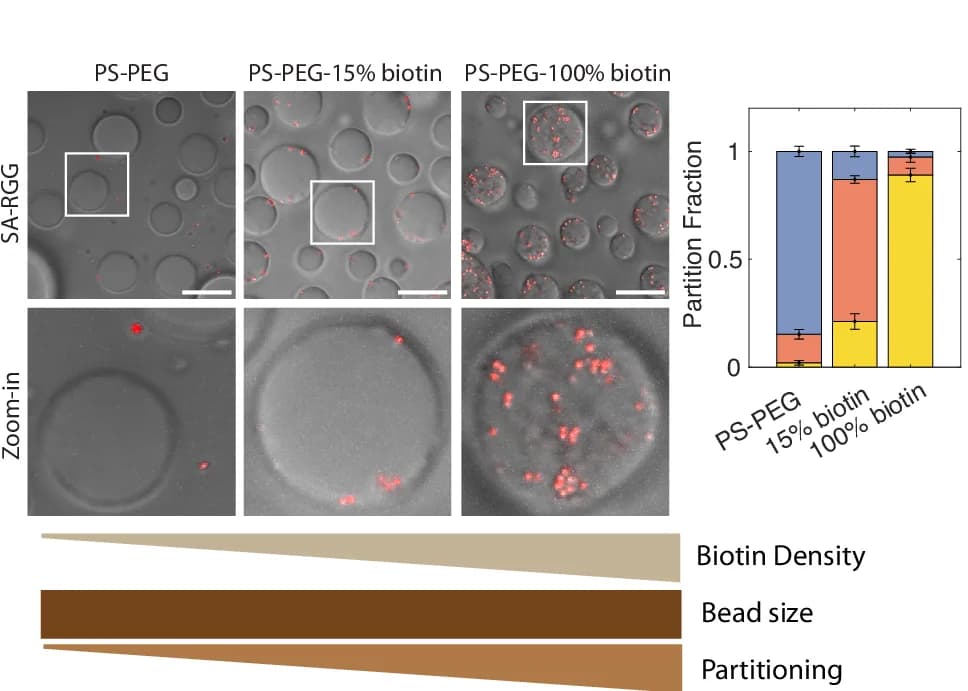 Open access visualization of Stacked Bar Plot, Microscopy, Biotin Surface Density, Particles, Beads