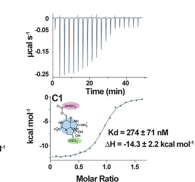 Open access visualization of Line Plot, Line Step, ITC Isotherms, C1/C2, Np Sxph