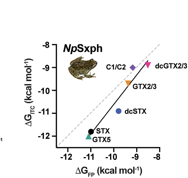 Open access visualization of Scatter Plot, Regression Plot, G ITC, G FP, Np Sxph