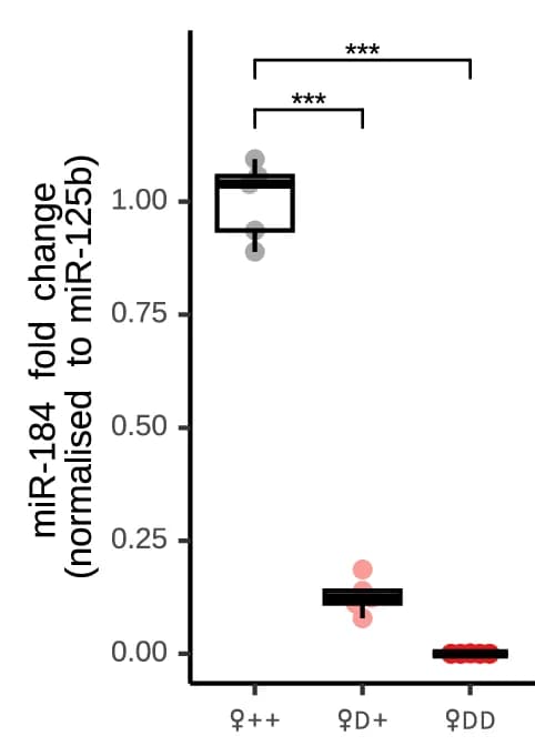 Open access visualization of Box Plot, Scatter Plot, miR-184 levels, Sugar-fed Females, Wild Type