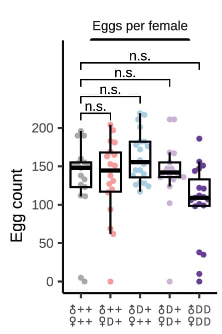 Open access visualization of Box Plot, Scatter Plot, Raincloud Plot, Fecundity, Females