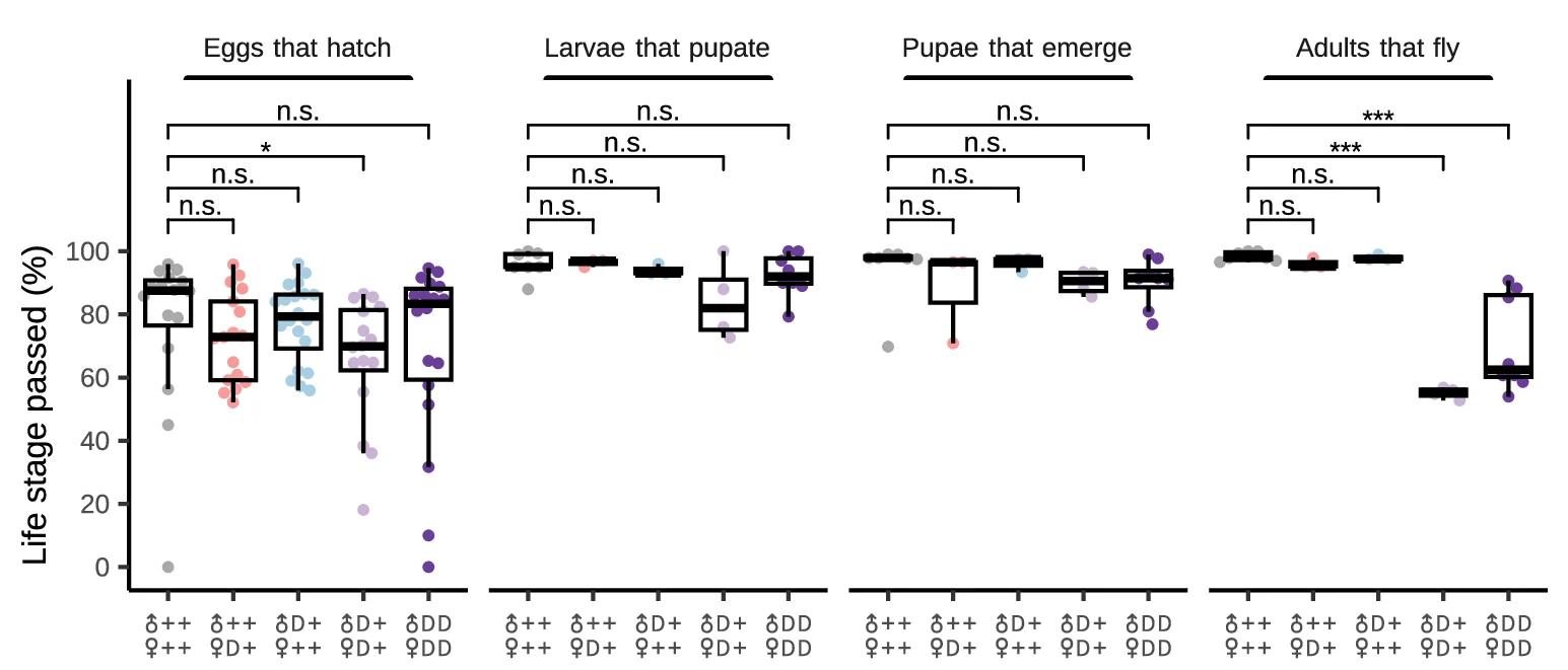 Open access visualization of Box Plot, Scatter Plot, Hatching Rates, Developmental Transitions, Homozygosity
