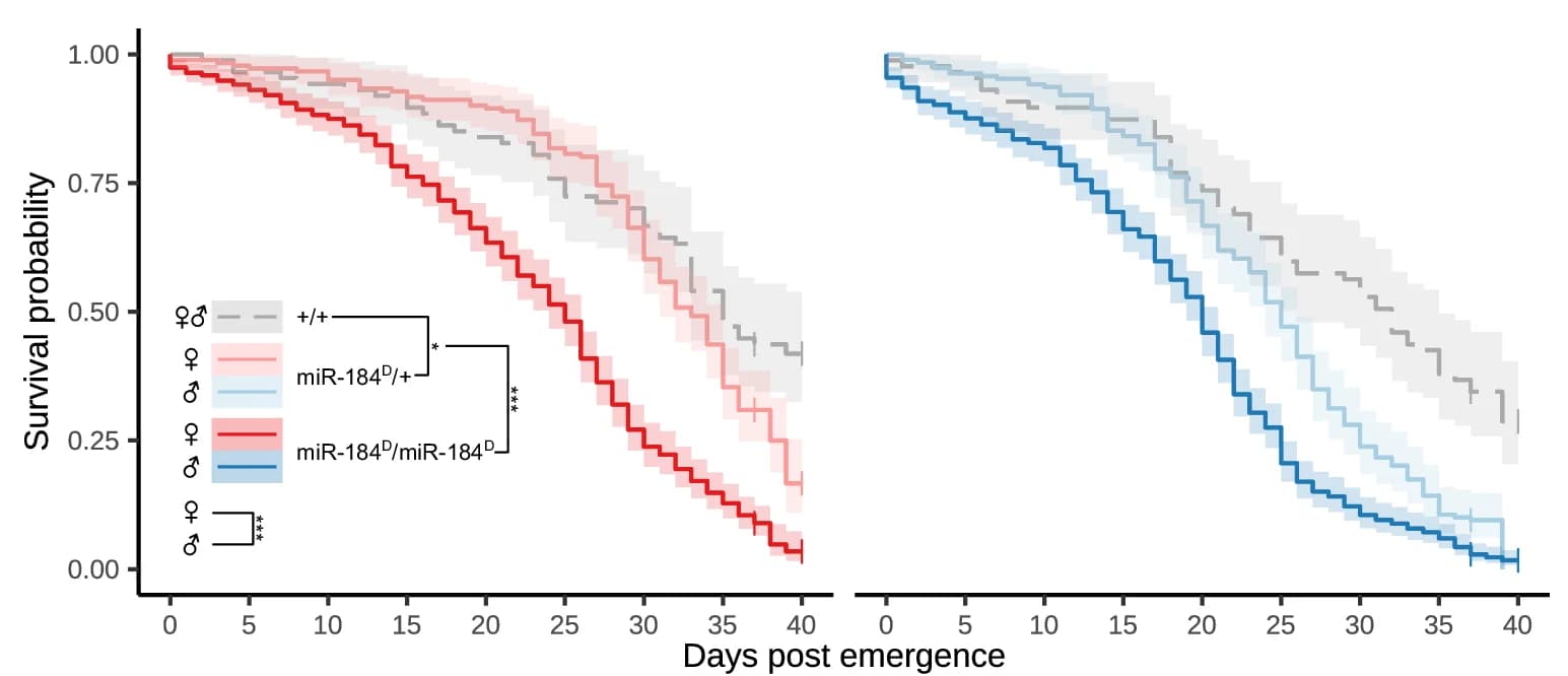 Open access visualization of Survival Curve, Line Step, Error Bars, Daily Survival, Sugar-fed mosquitoes