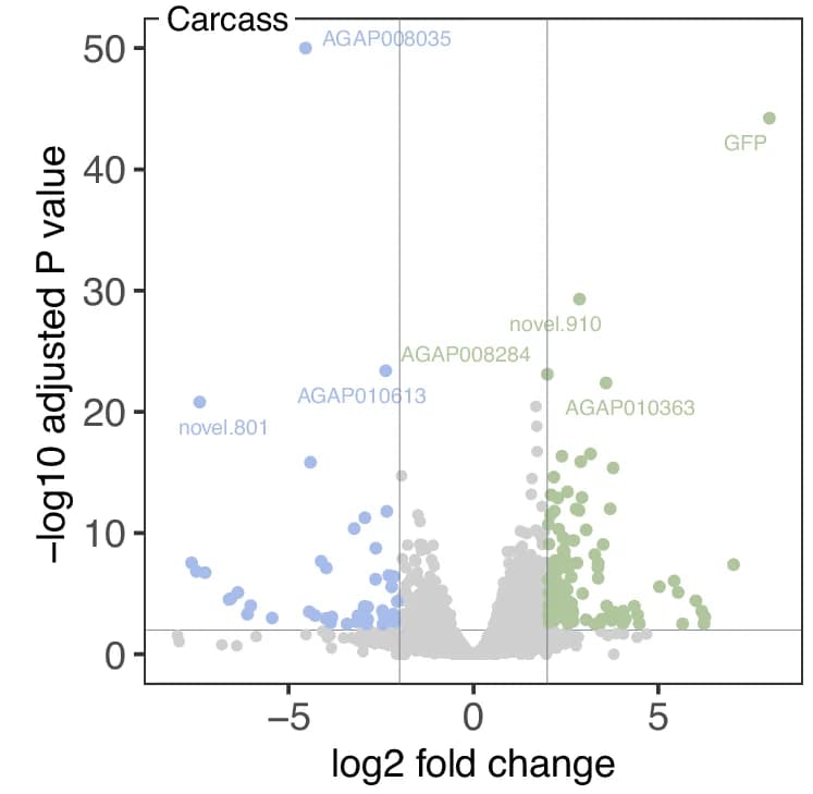 Open access visualization of Volcano Plot, Scatter Plot, Volcano Plots, RNAseq, Body