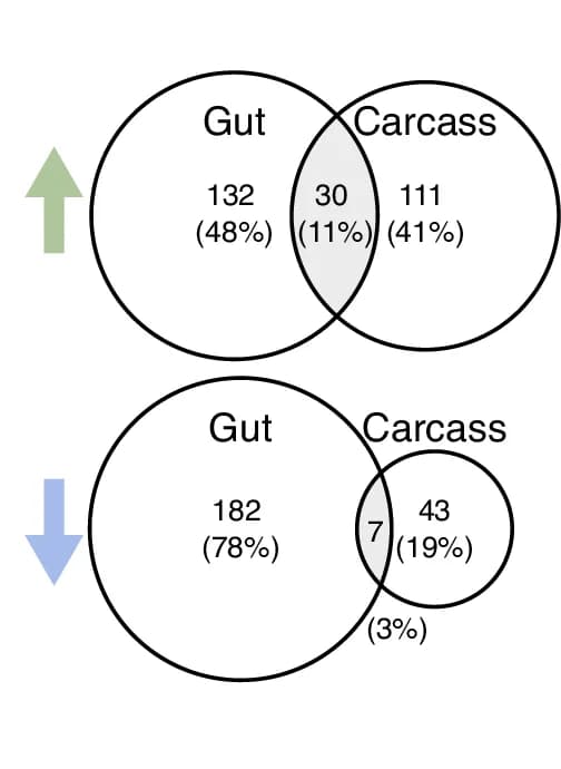 Open access visualization of Venn Diagram, Venn Diagrams, Differentially Expressed Genes, Tissues