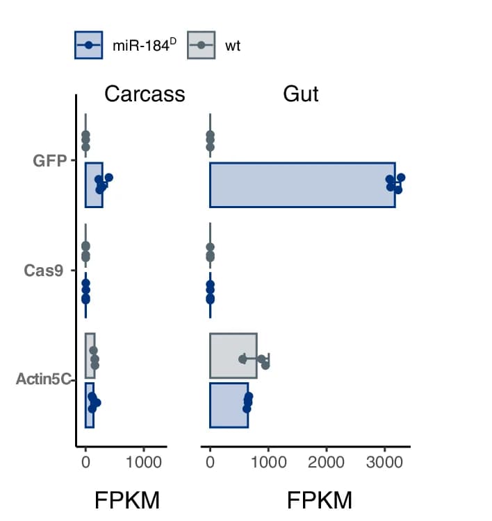 Open access visualization of Bar Plot, Scatter Plot, Error Bars, Transgene Transcript Levels, FPKM Values