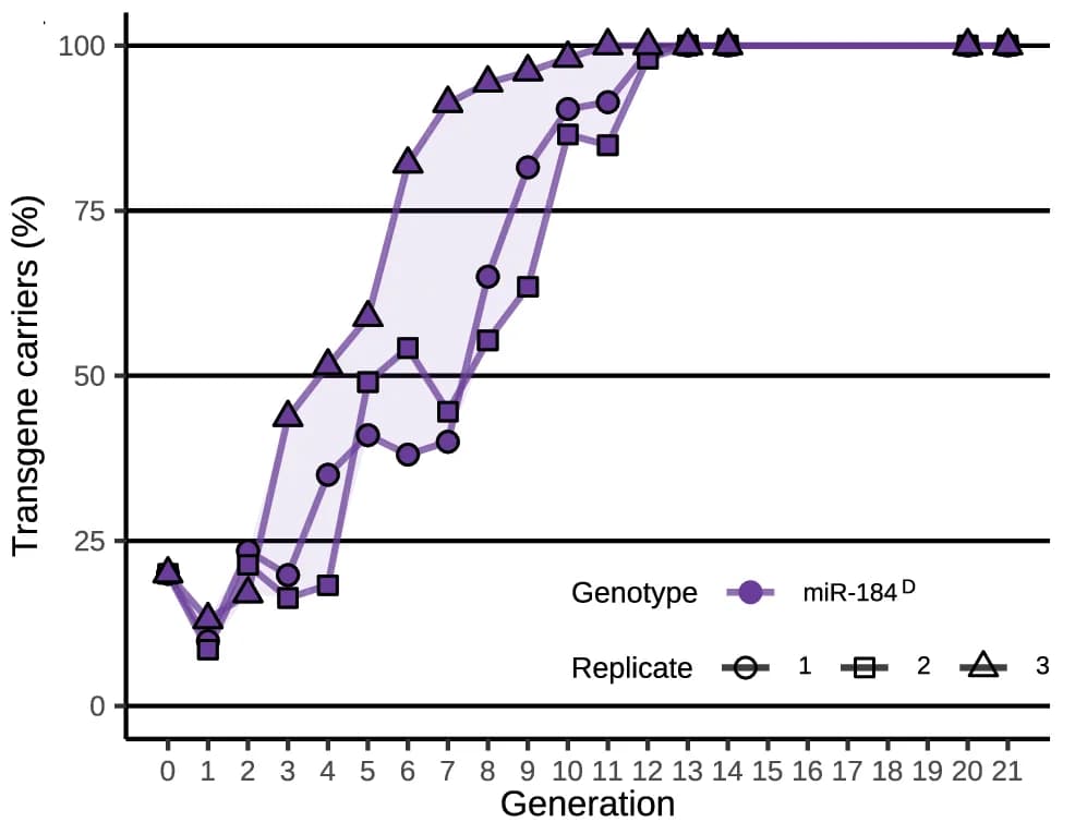 Open access visualization of Line Plot, Transgene, Frequency, GFP