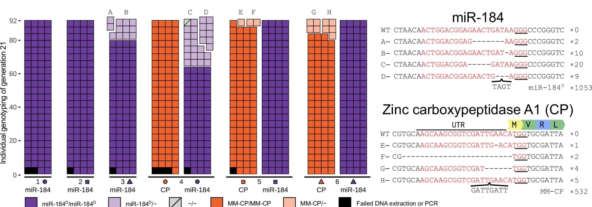 Open access visualization of Stacked Bar Plot, Allele Composition, Generation, PCR, DNA Sequencing