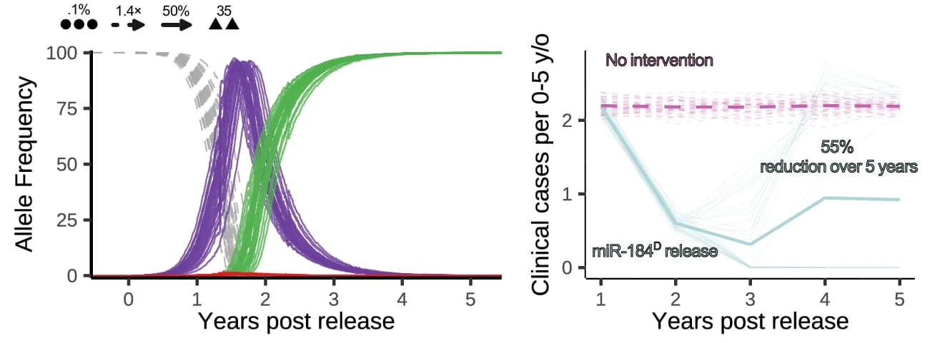 Open access visualization of Line Plot, Allele Frequency, Clinical Case Dynamics, Parameter Combinations