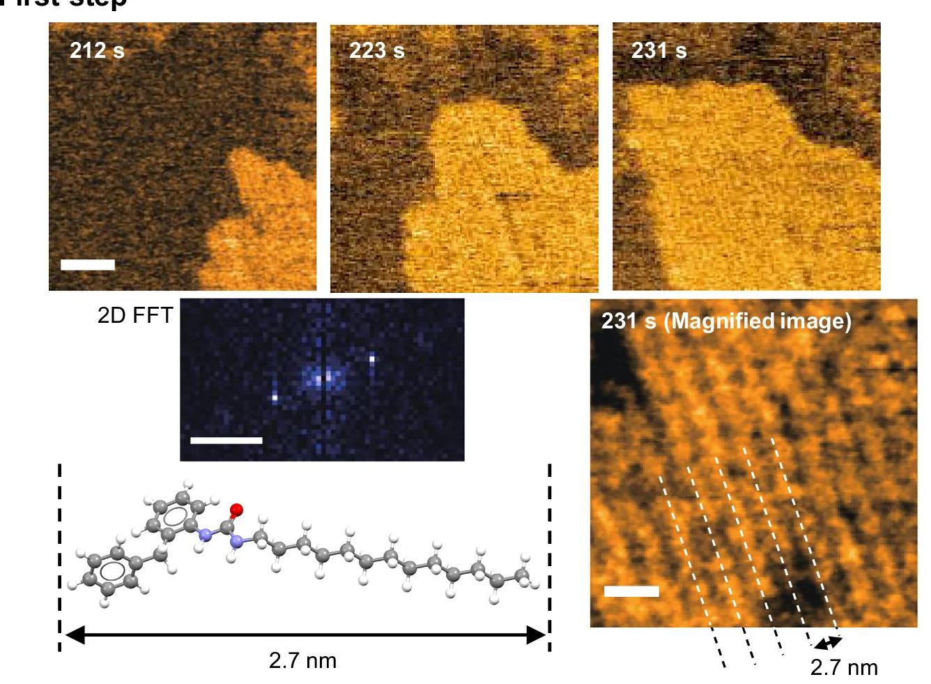 Open access visualization of Microscopy, Chemical Structure, HS-AFM Images, UC13, EMI-Tf 2 N