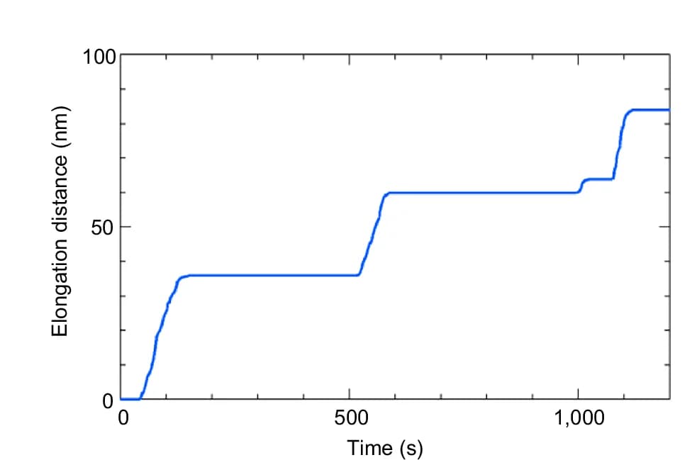 Open access visualization of Line Plot, Line Step, Growth Distance, Time, Numerical Simulation