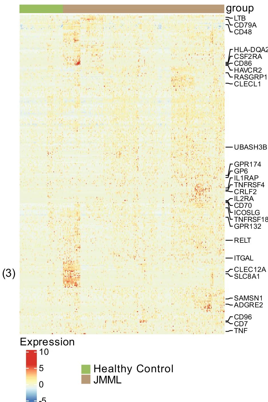 Open access visualization of Heatmap, Upregulated Genes, JMML, HSC Cells, Cell Surface Markers