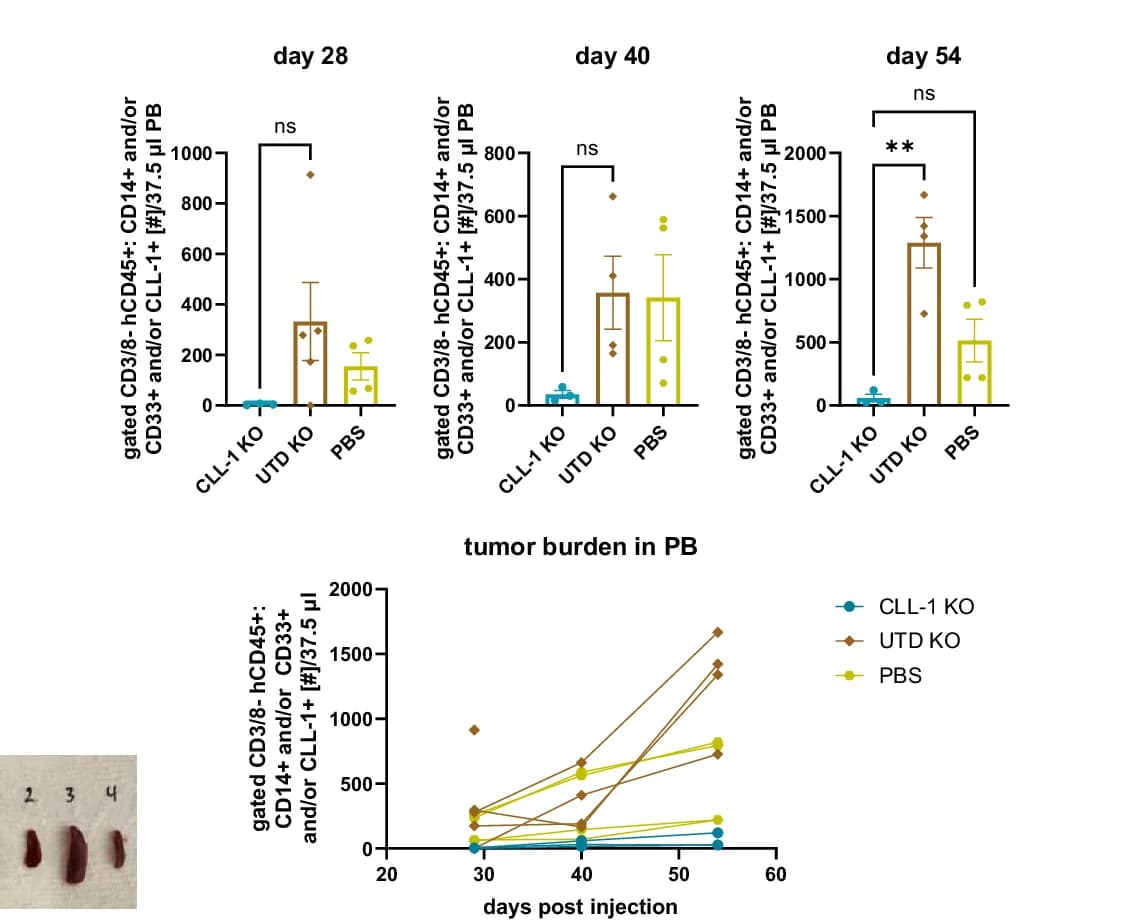 Open access visualization of Bar Plot, Error Bars, Line Plot, Photo, Flow Cytometry