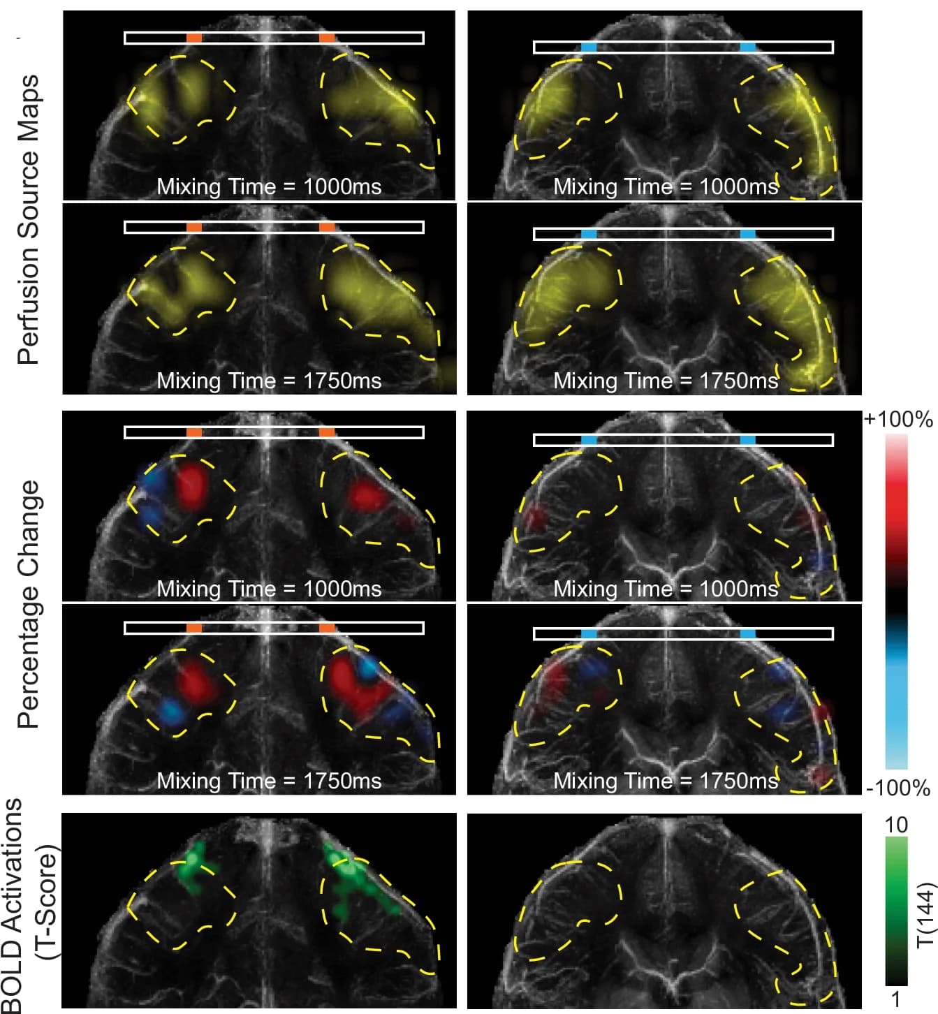 Open access visualization of Microscopy, Perfusion Source Maps, Activated Veins, Control Veins, Percentage Change