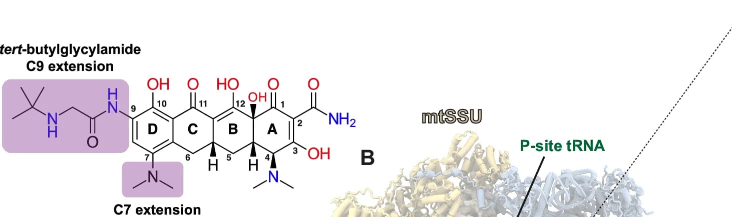 Open access visualization of Chemical Structure, Protein Structure, Tigecycline