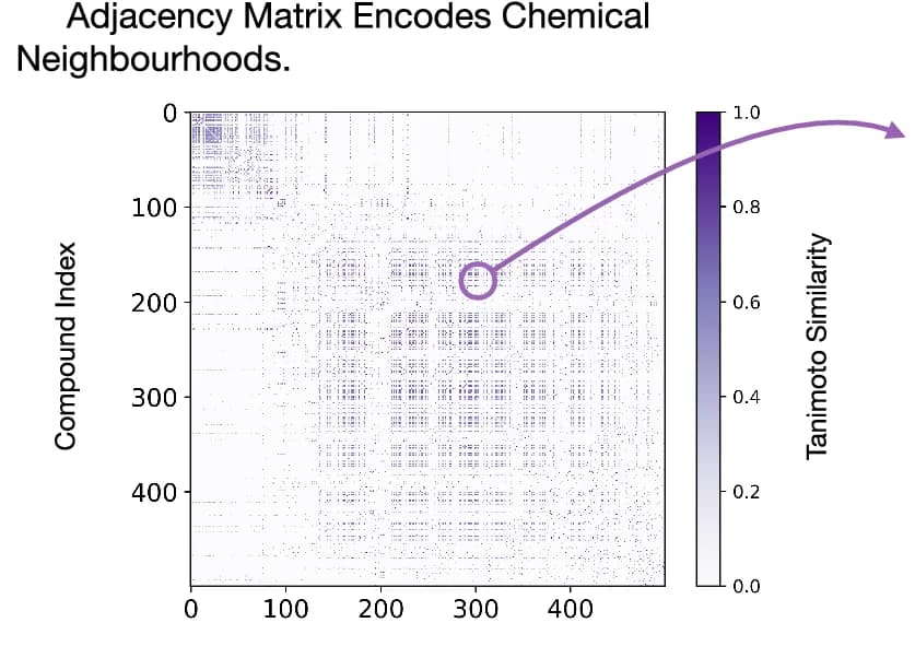 Open access visualization of Heatmap, Adjacency Matrix, Chemical Space, Neighborhood